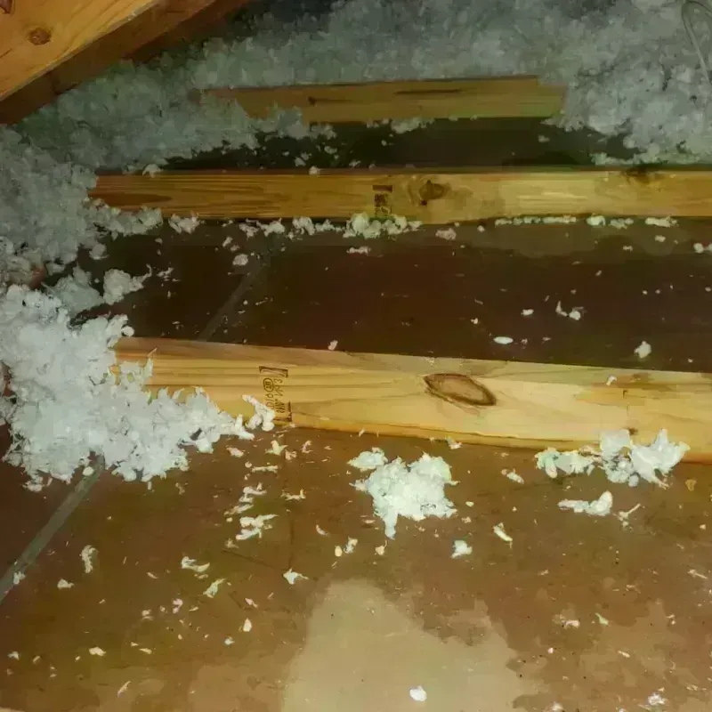 Attic Water Damage in Hurst, TX