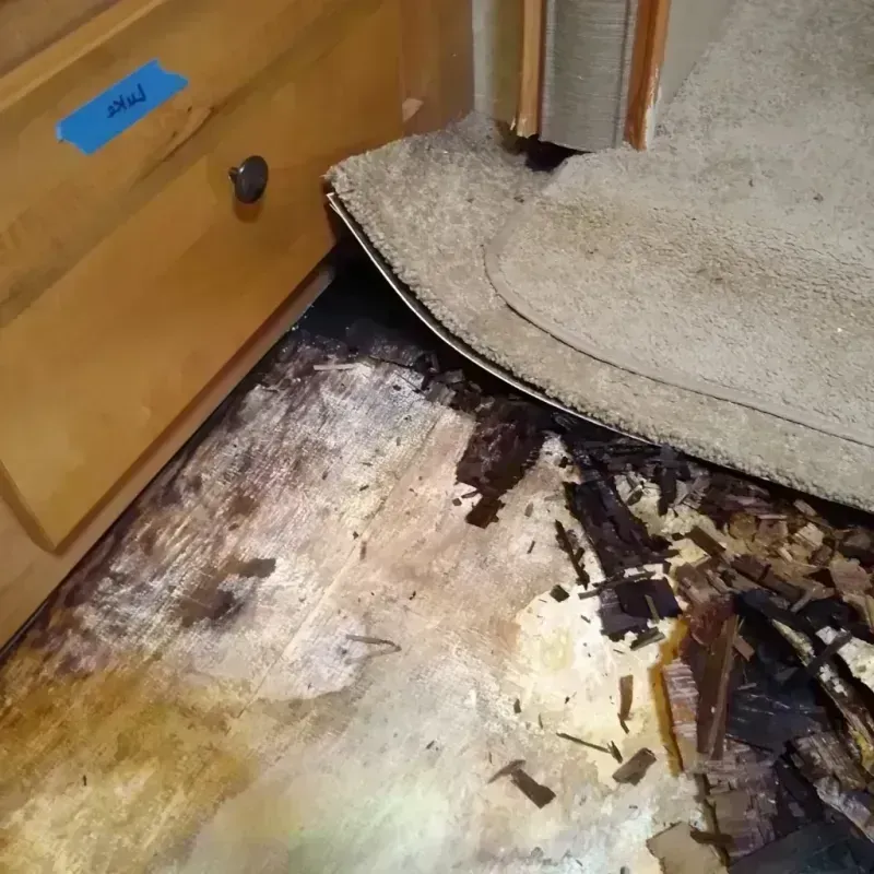 Wood Floor Water Damage in Hurst, TX